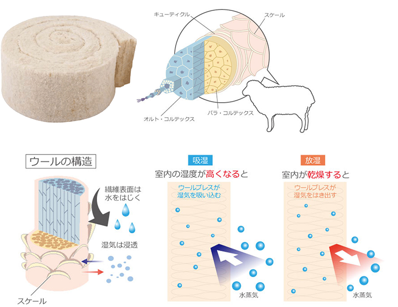 羊毛断熱材（枯渇しない無限の資源）